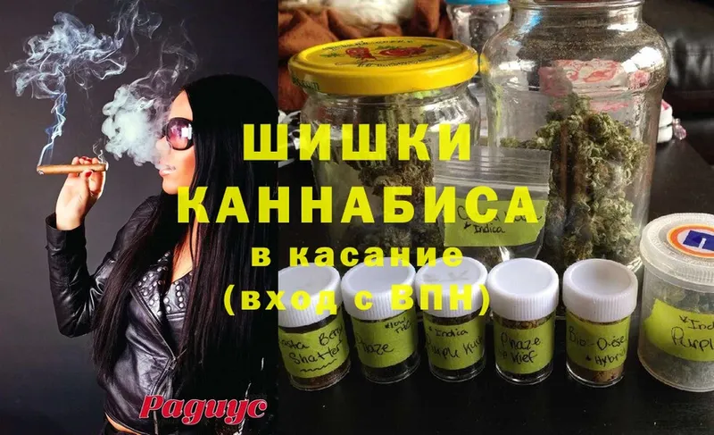 купить наркотики цена  Челябинск  мега зеркало  Каннабис White Widow 